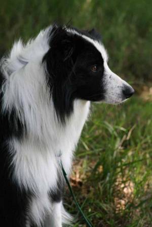 07-06- 2007 115 (35).jpg